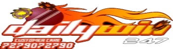 logo dailywin